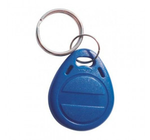 Брелок Em-Marine EM-Key002 с чипом Atmel Temic
